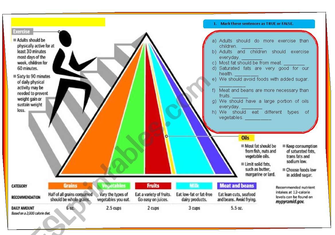 The new food pyramid worksheet