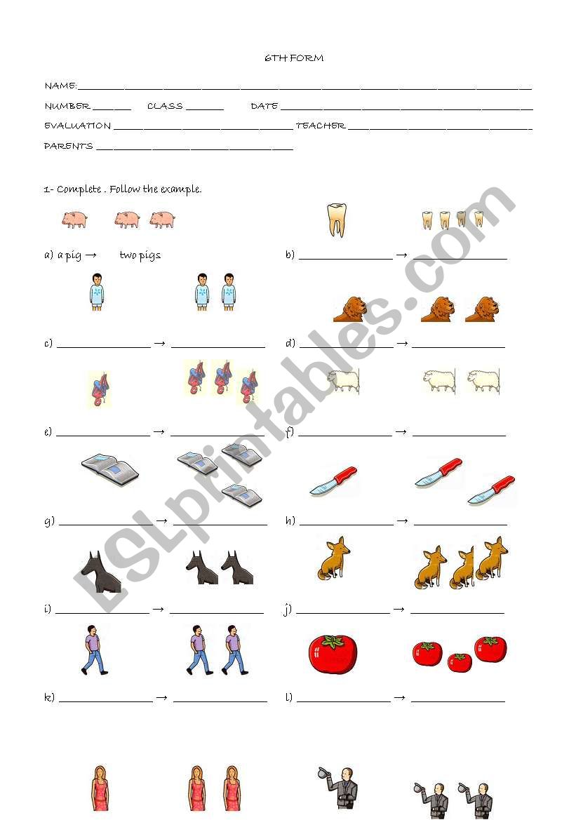 Plurals worksheet