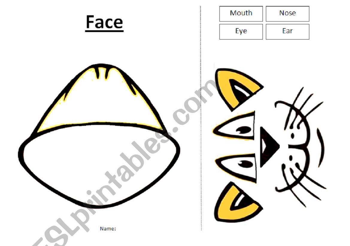 Animal Face - Worksheet worksheet