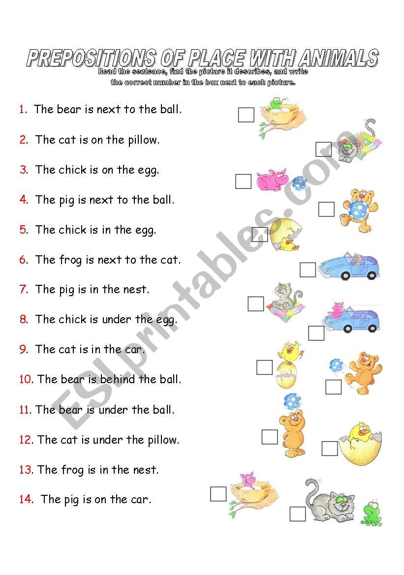 Prepositions of Place With Animals