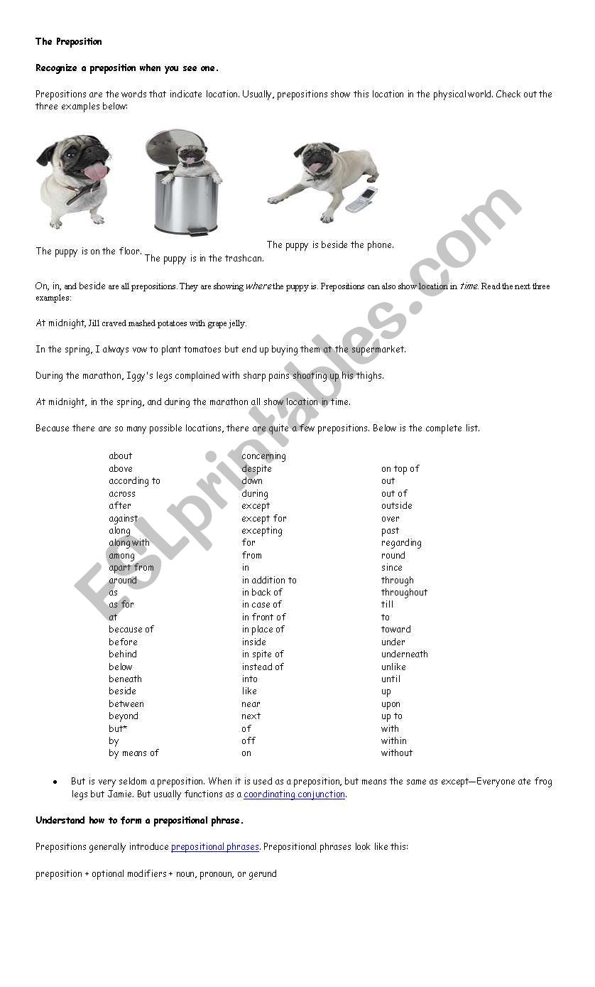 Preposition worksheet