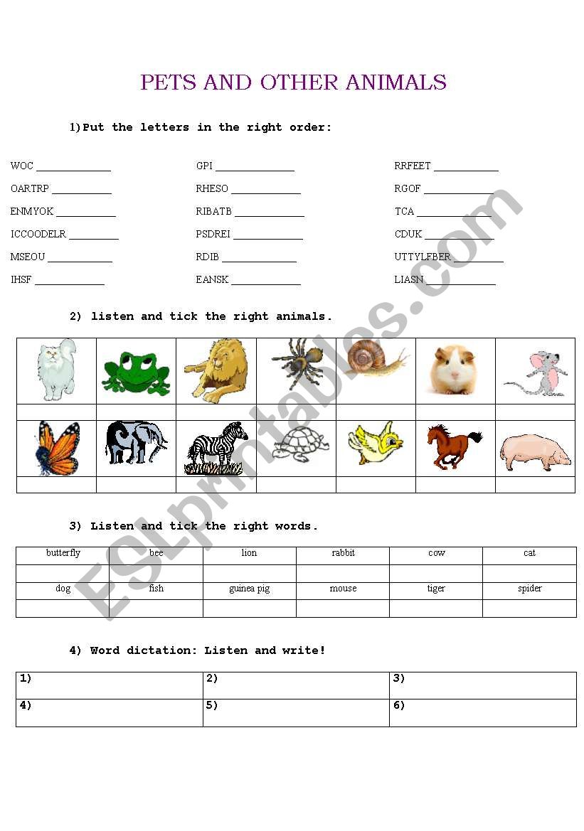 animals worksheet