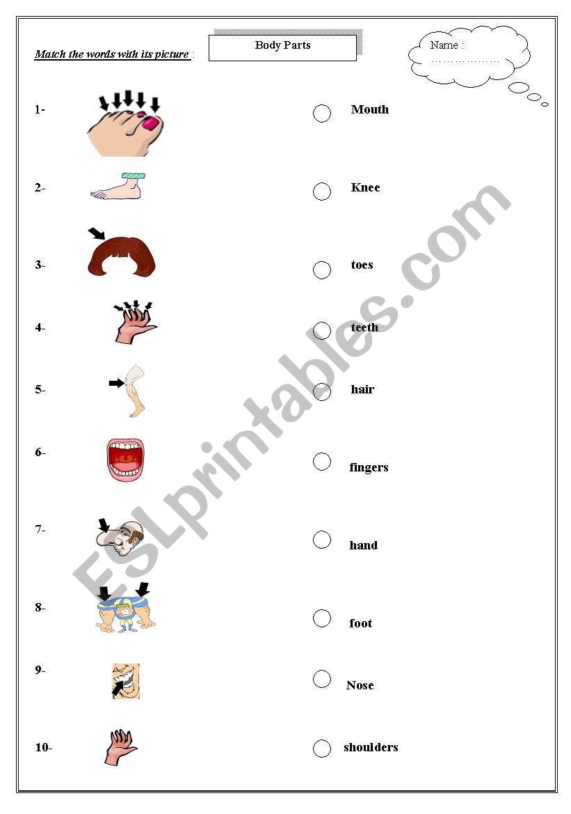 body parts (match) worksheet
