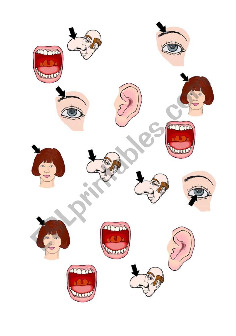 Match the Face Parts worksheet