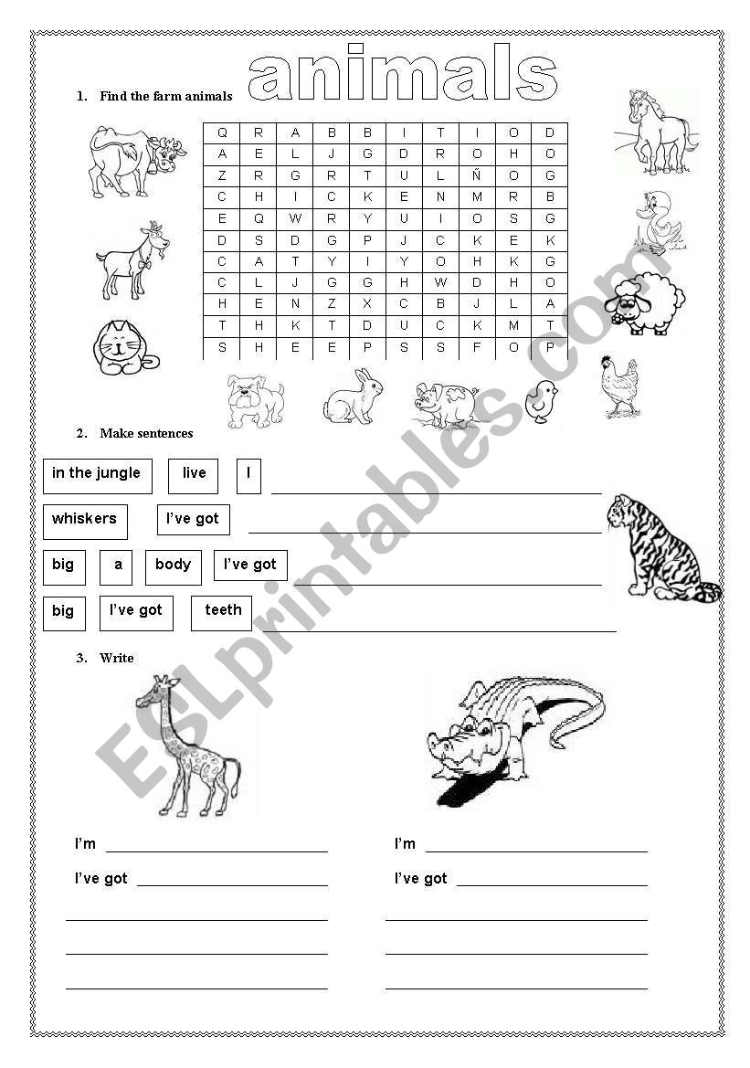 animals worksheet