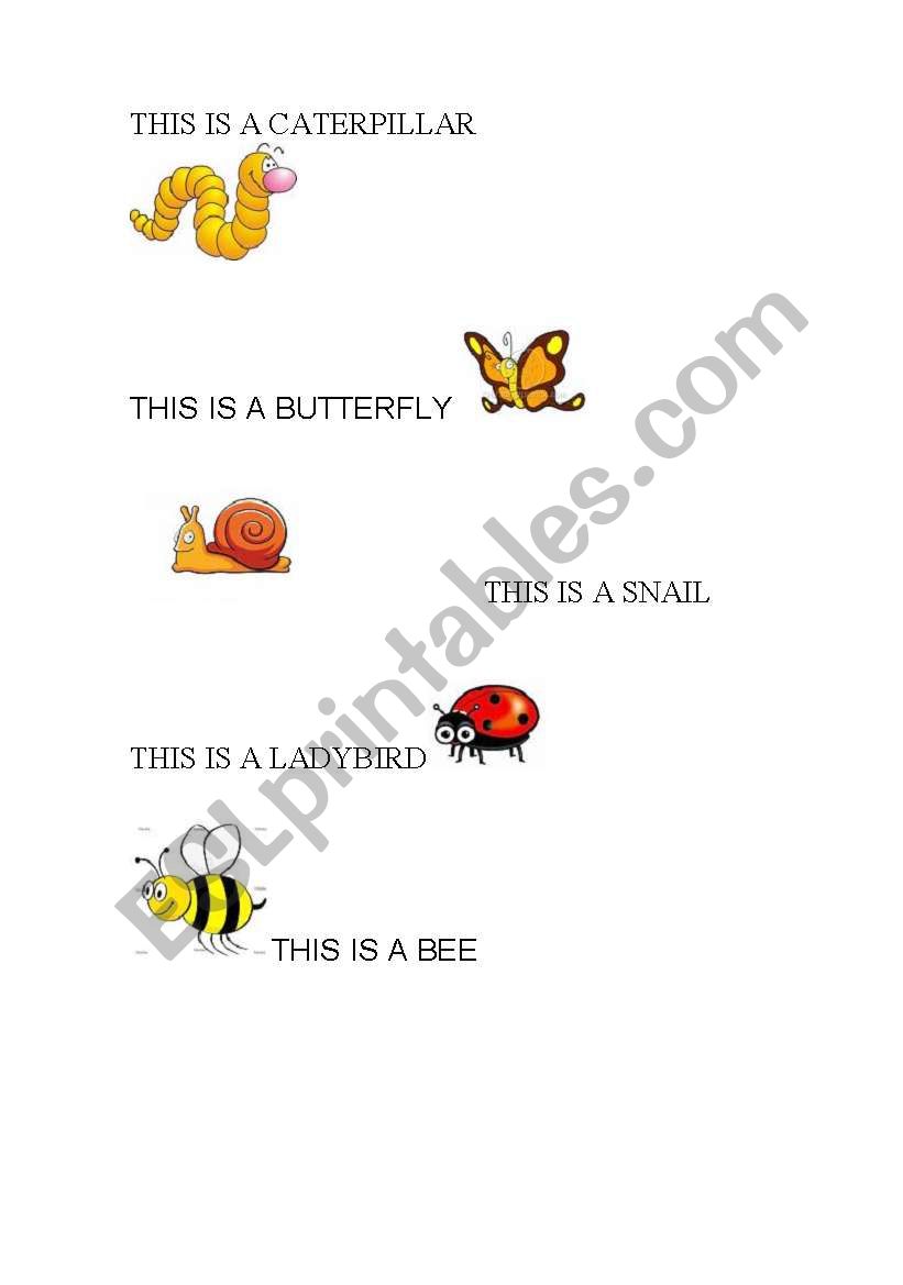 bugs worksheet