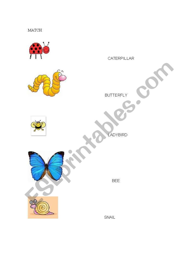 bugs1 worksheet