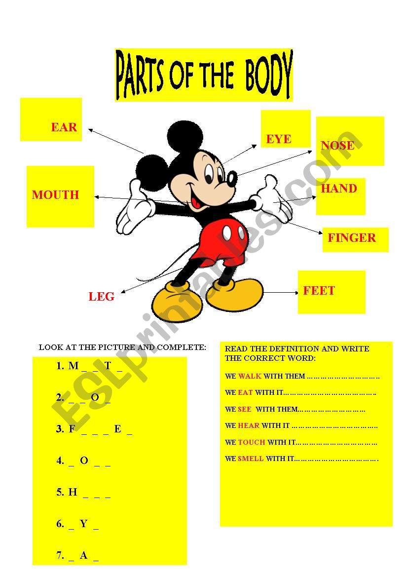 parts of the body worksheet