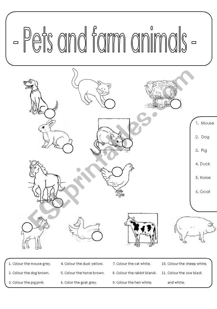 Pets and farm animals (Number and colour)