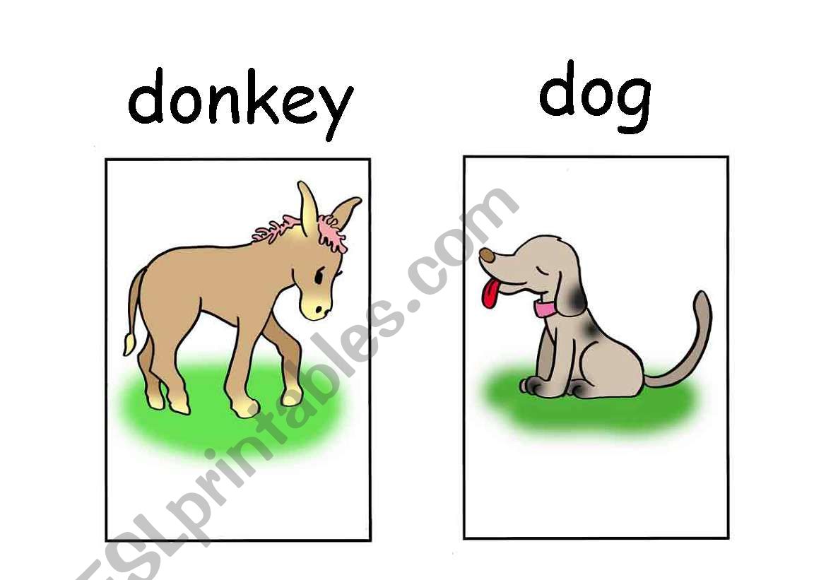 animals set 1  worksheet