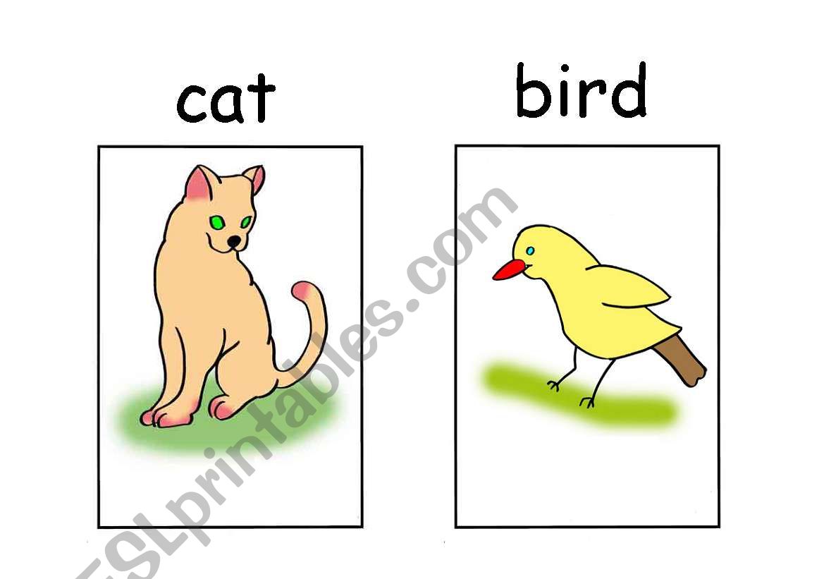 animals set 2 worksheet