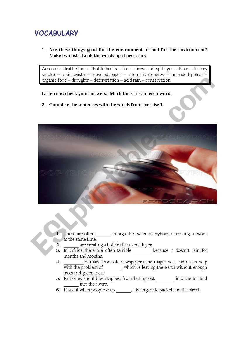 VOCABULARY ACTIVITY ABOUT ENVIROMENT