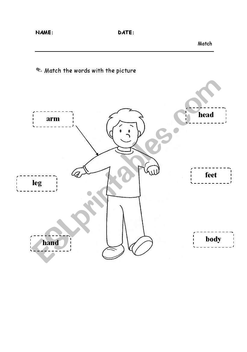 Parts of the body worksheet