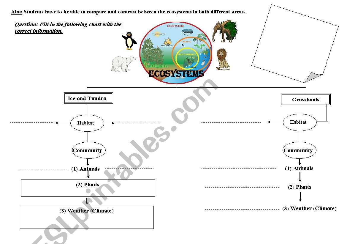 comparing and contrasting ecosystems