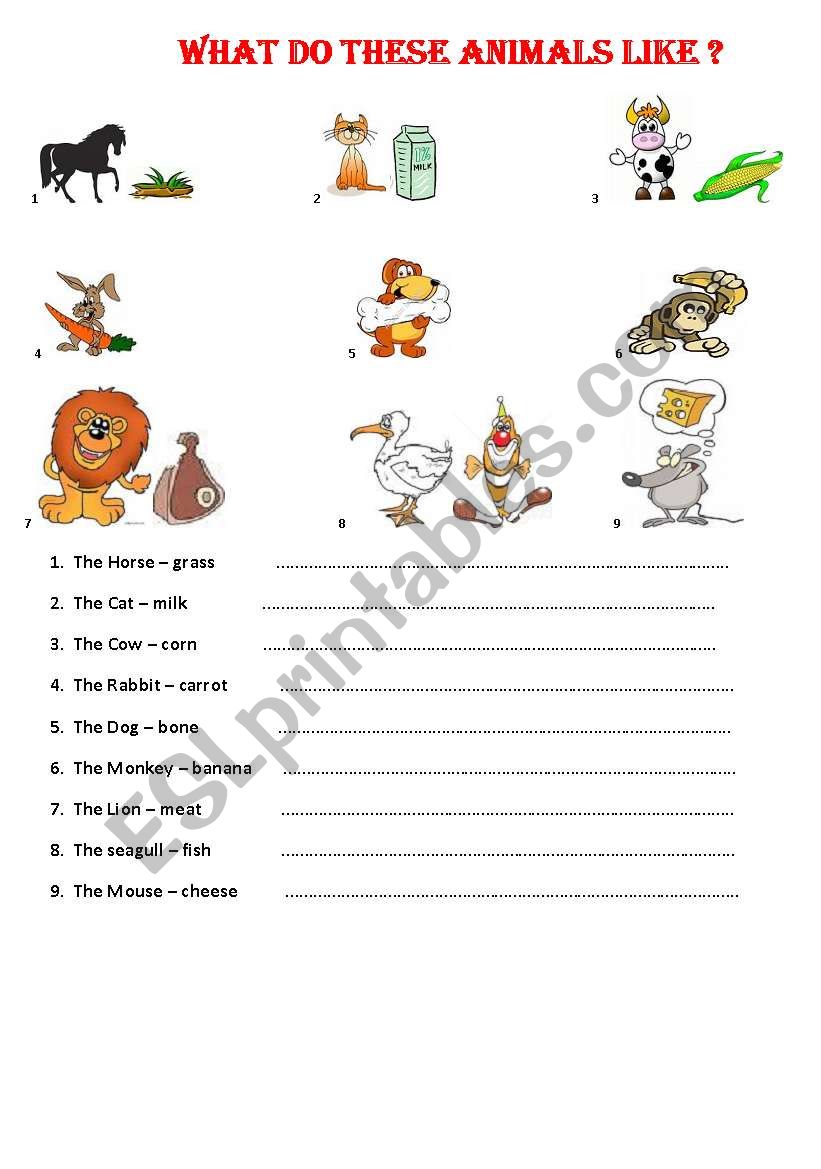 WHAT DOES AN ANMAL LKE worksheet