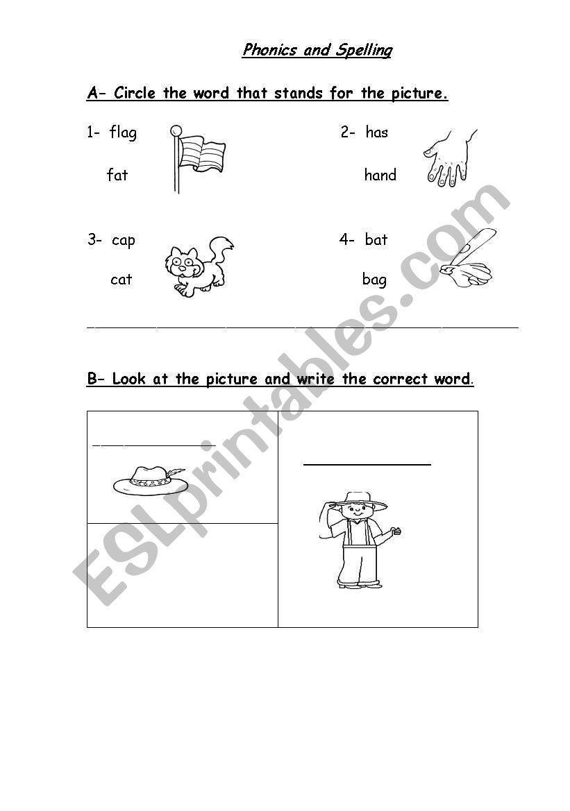 phonics  worksheet