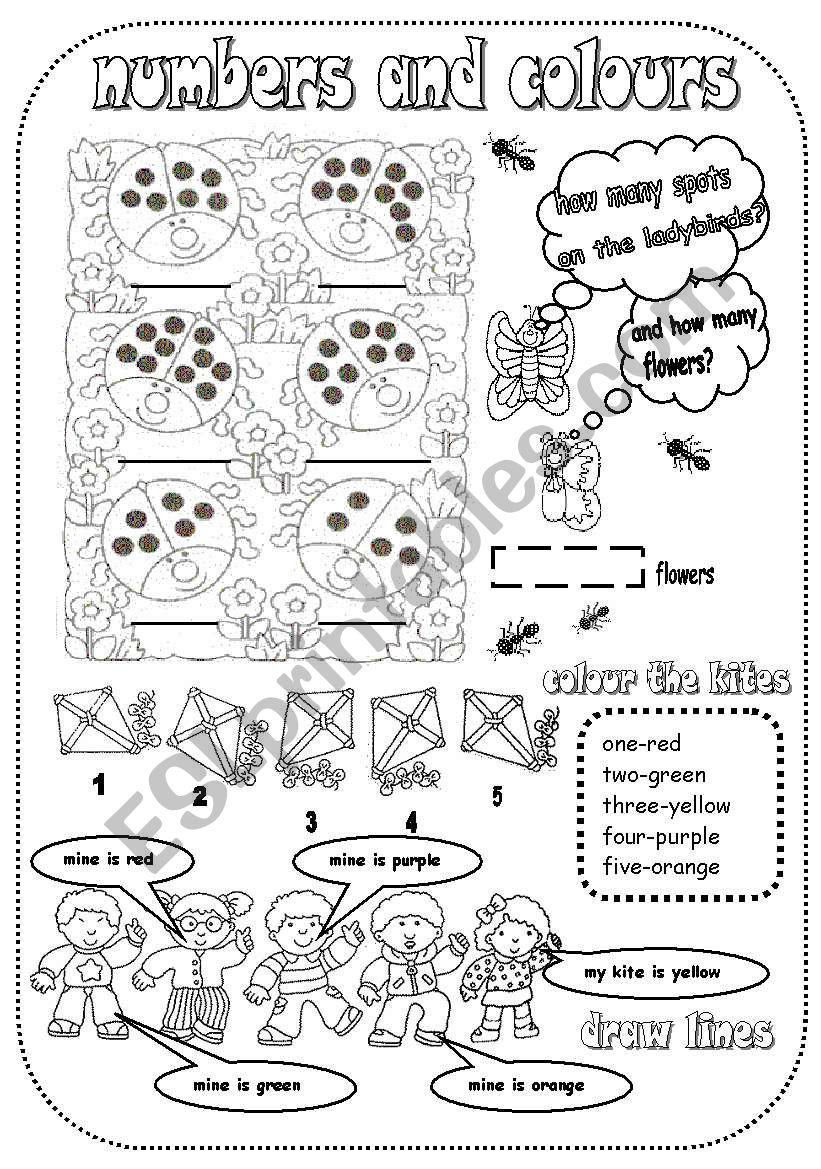 NUMBERS AND COLOURS worksheet