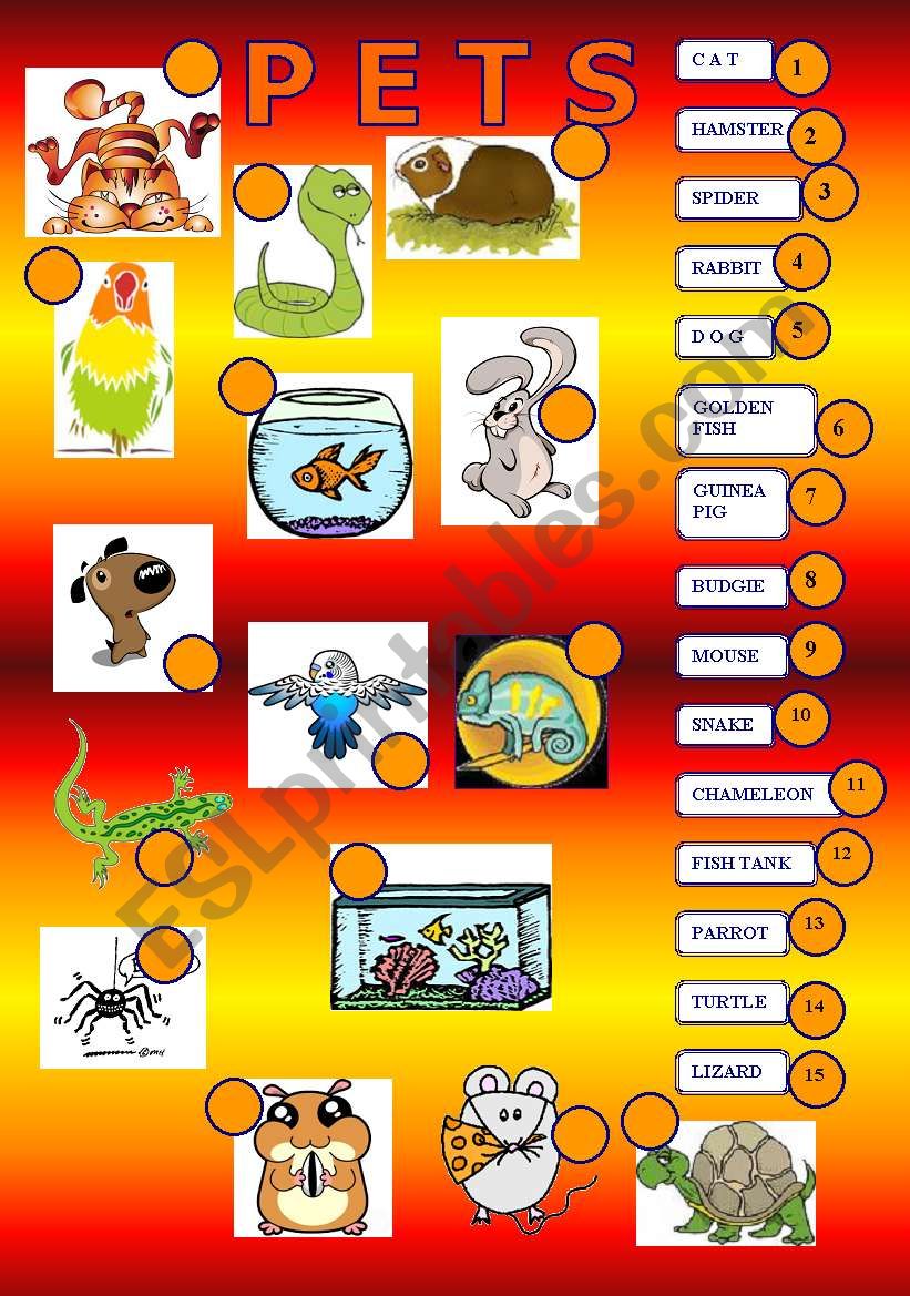 Pets connect with numbers worksheet