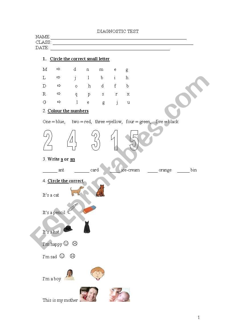 Diagnostic test - Basic knowledge