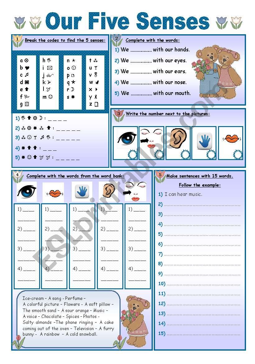 Our Five Senses worksheet