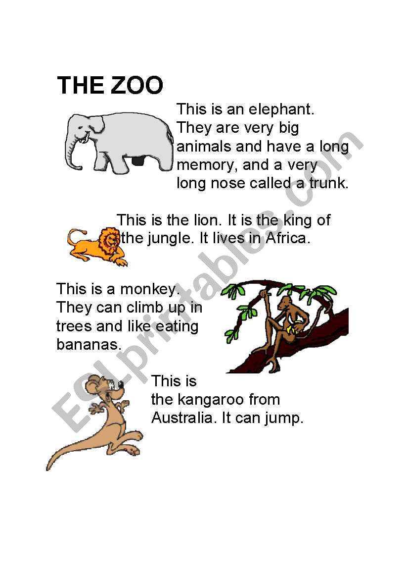 The zoo worksheet
