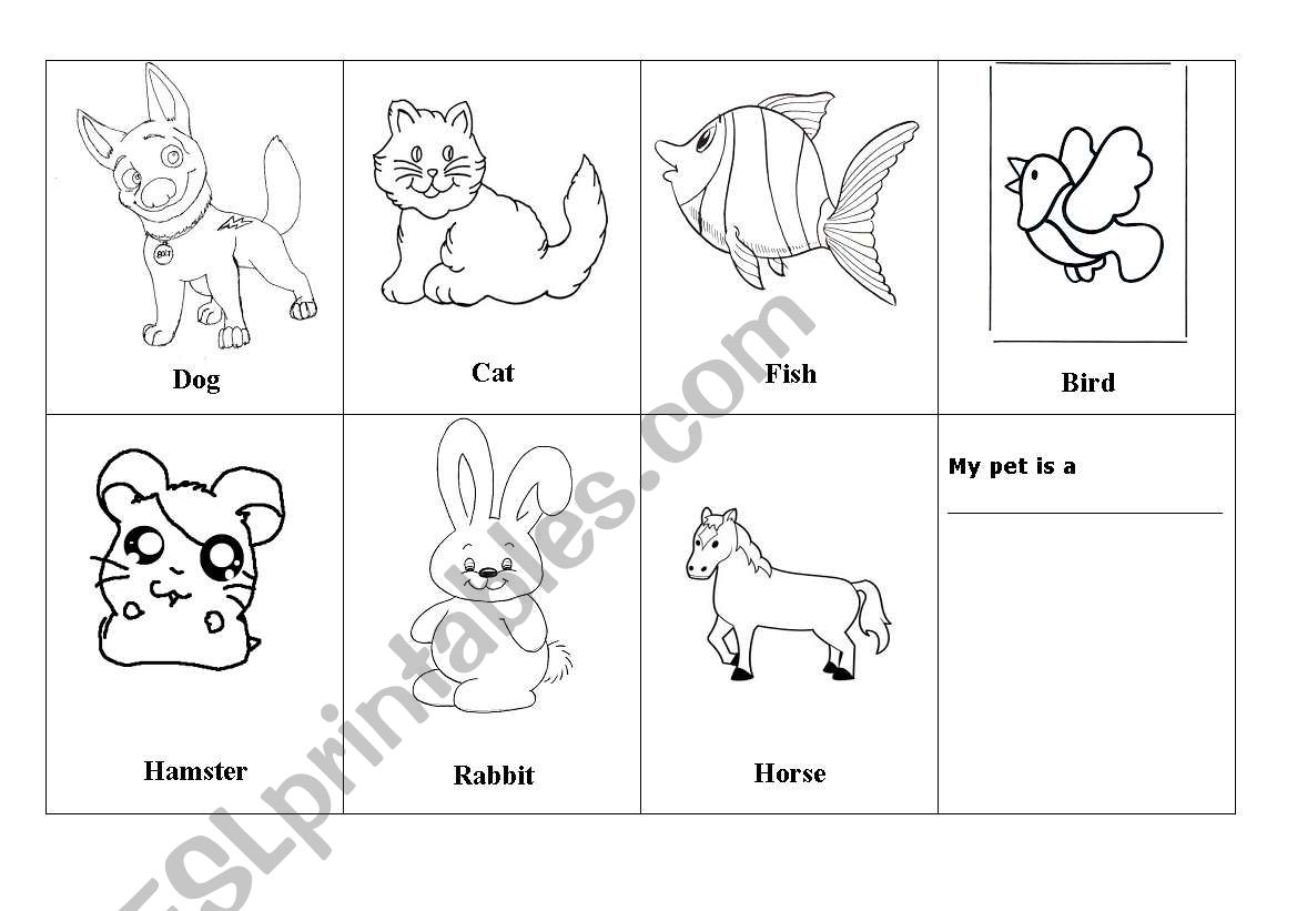 Animals worksheet