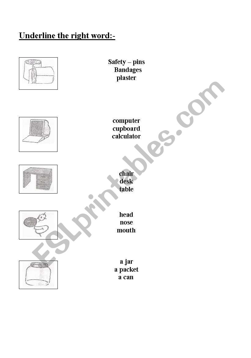 underline the right  word worksheet