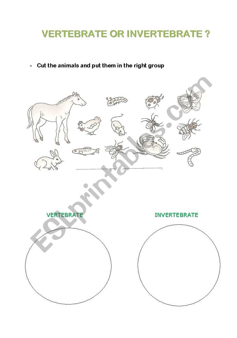 VERTEBRATE AND INVERTEBRATE worksheet