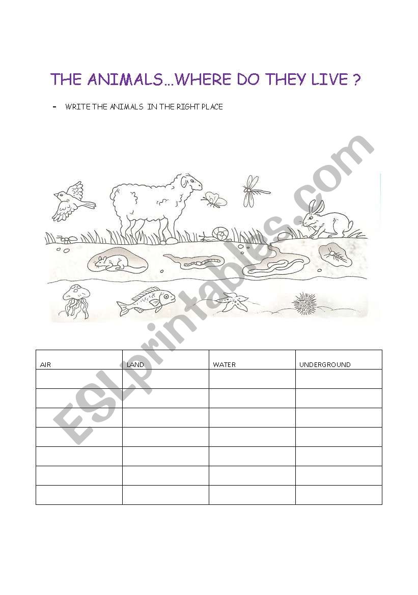 animals and habitats worksheet