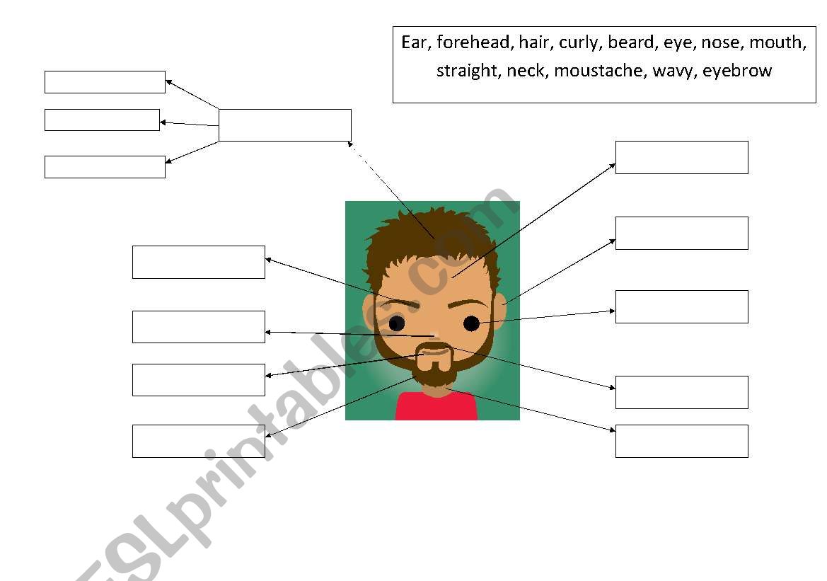 Face, physical appearance worksheet