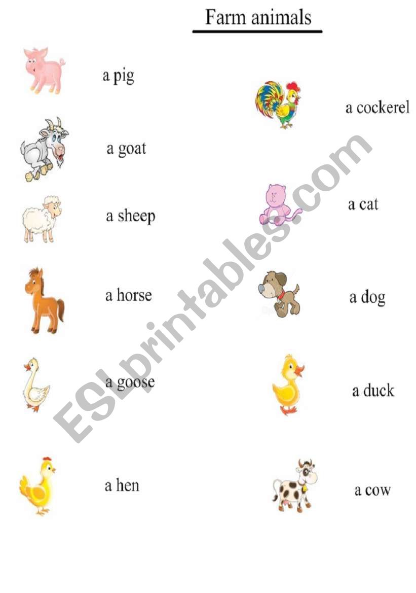 farm animals worksheet