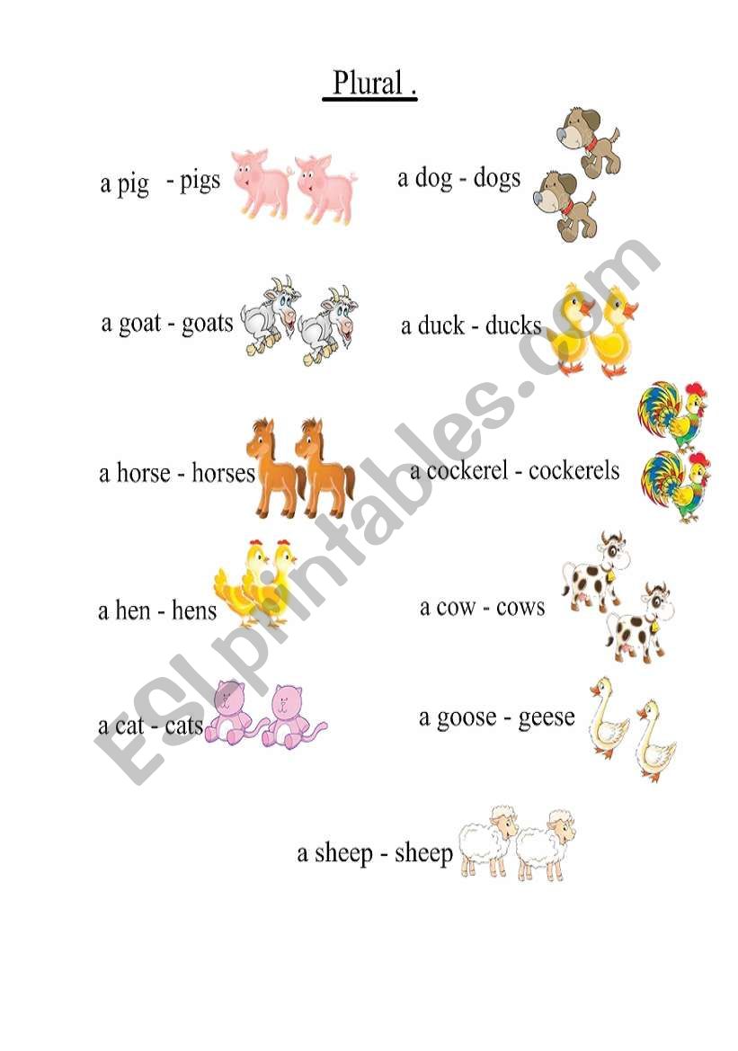 English worksheets: farm animals - plural