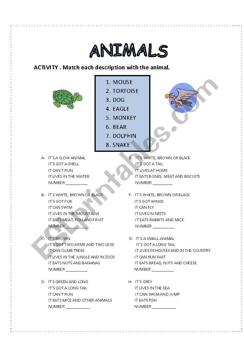 Animals worksheet