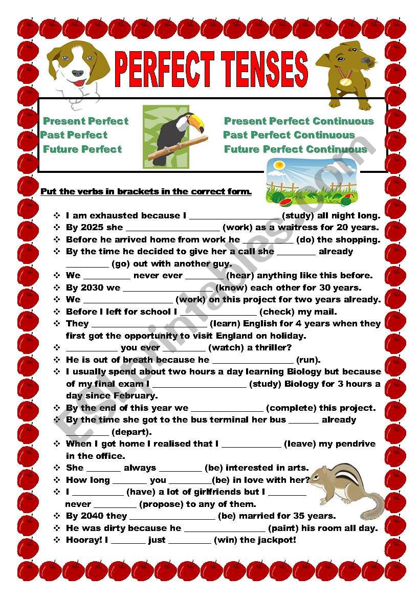 Perfect tenses worksheet