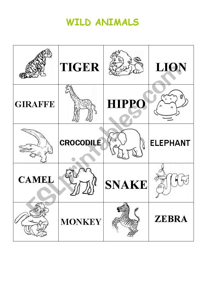 WILD ANIMALS worksheet