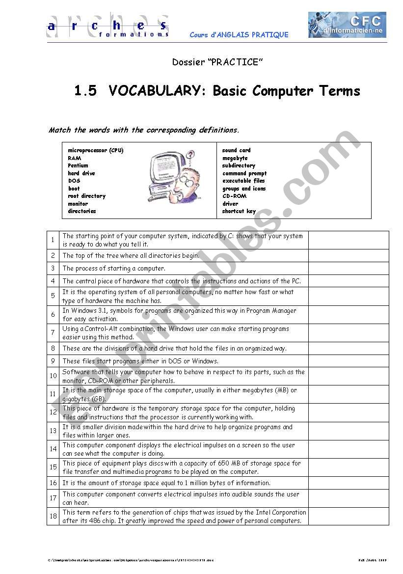 Basic Computer Terms worksheet