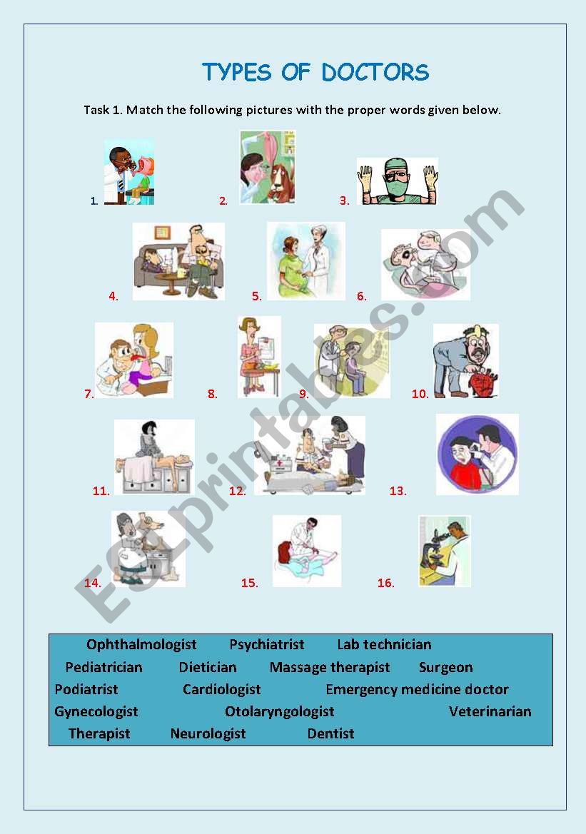 Types of doctors worksheet