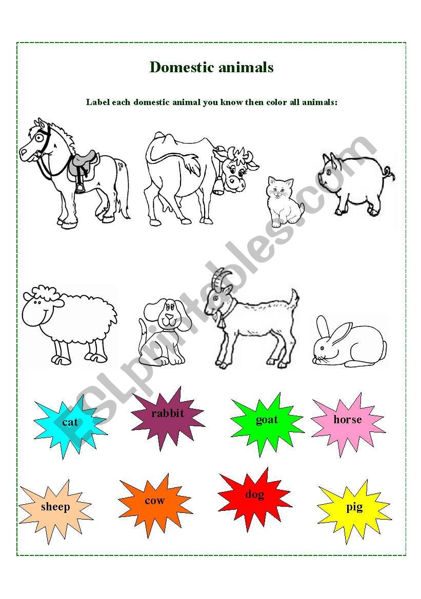 Domestic animals worksheet