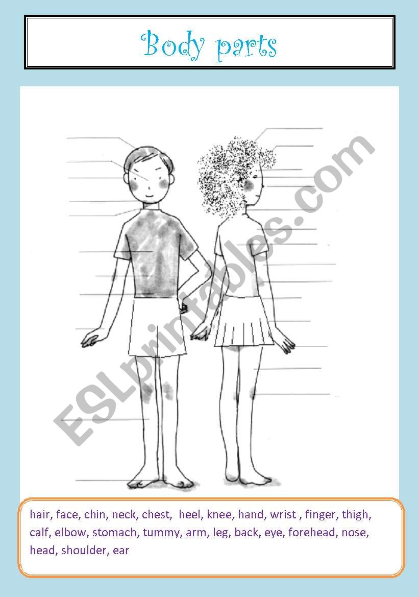 body parts - vocabulary worksheet