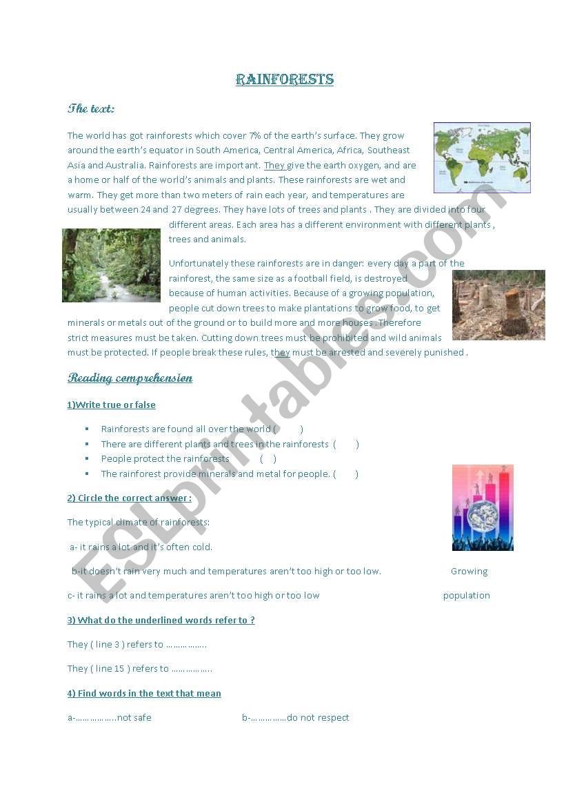 pollution:rain forest worksheet