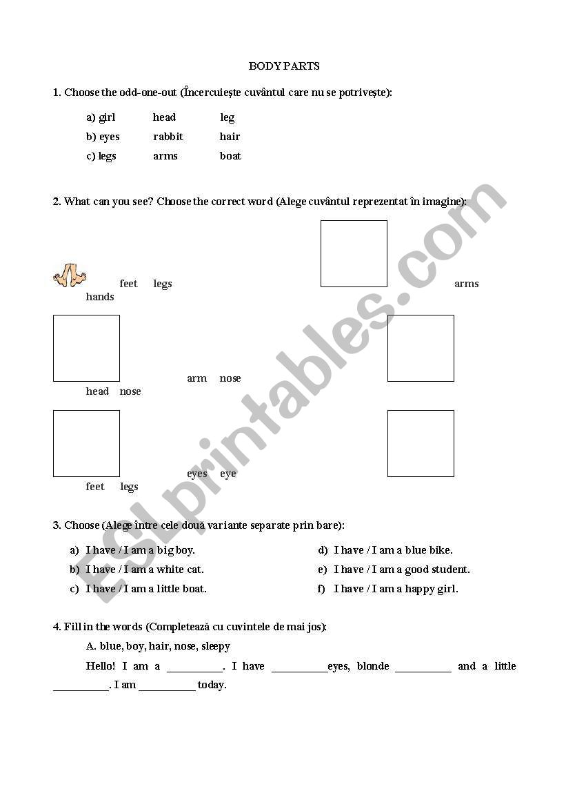 body parts worksheet