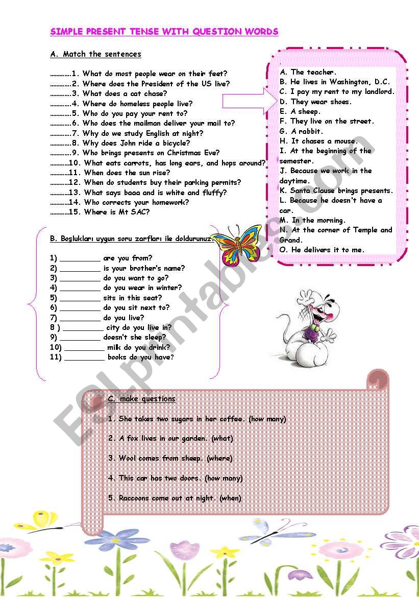 s. present tense wh- questions