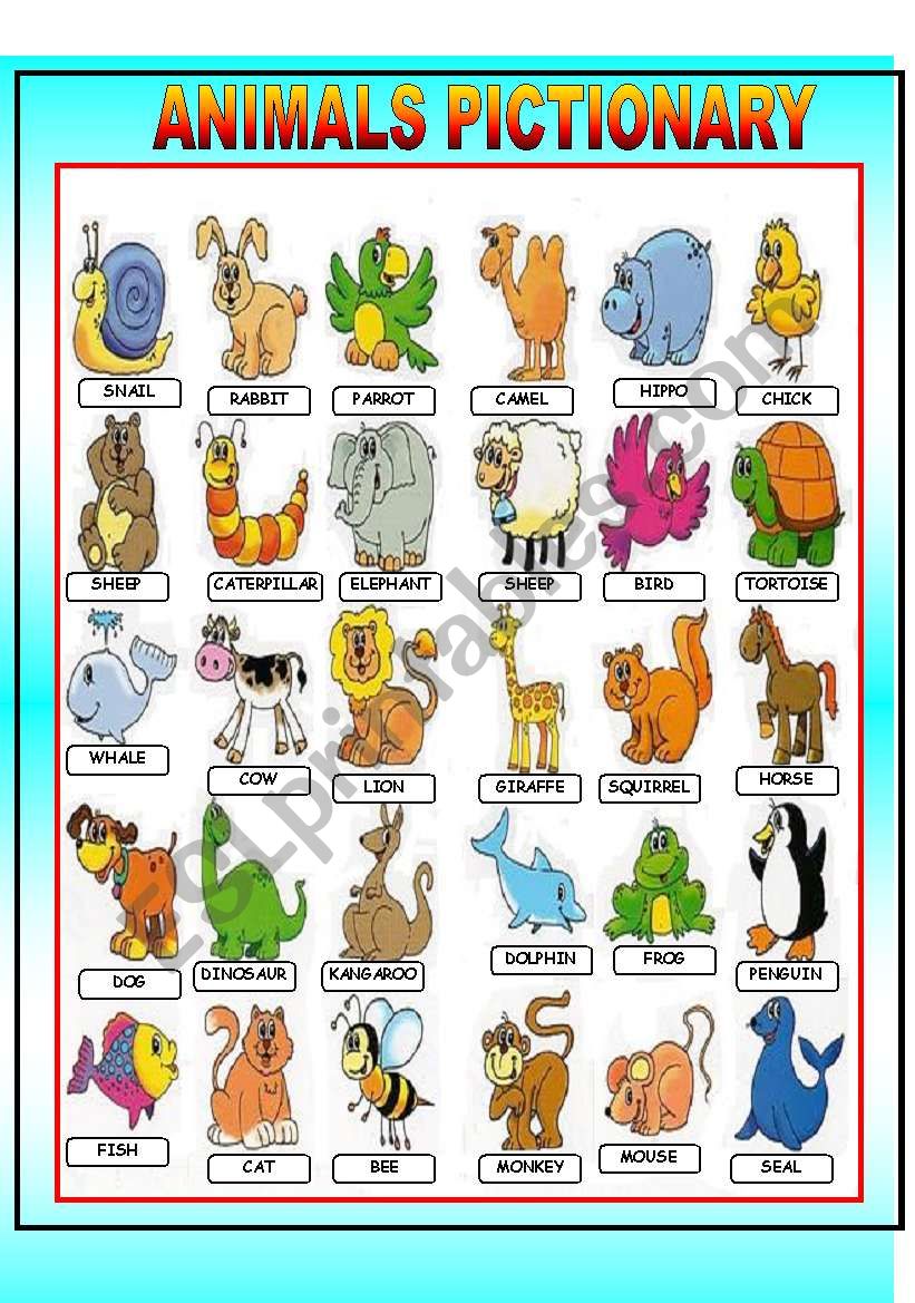 ANIMALS PICTIONARY worksheet