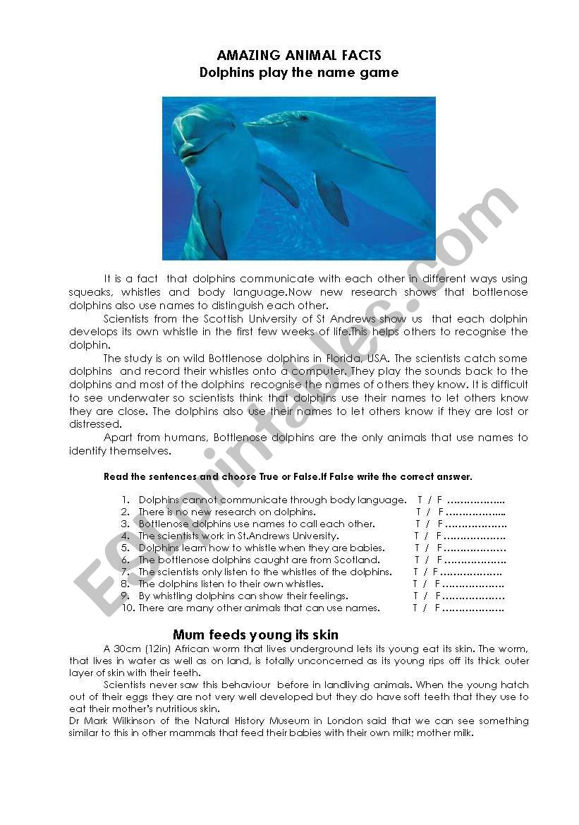 Amazing Animal Facts worksheet