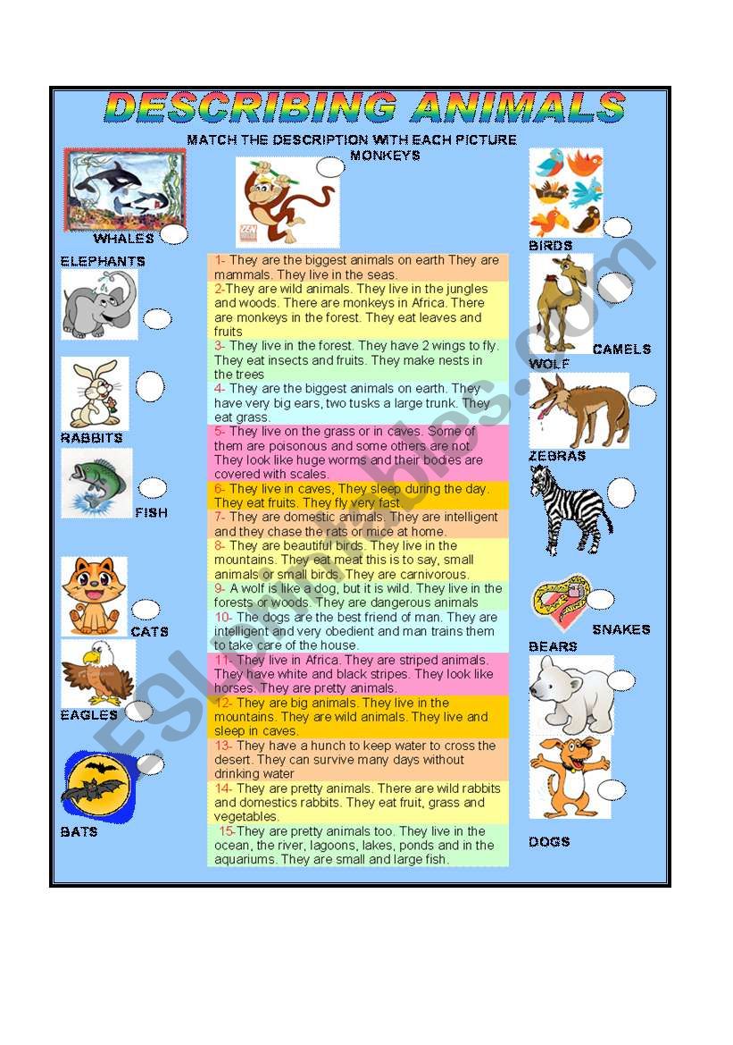 DESCRIBING ANIMALS worksheet