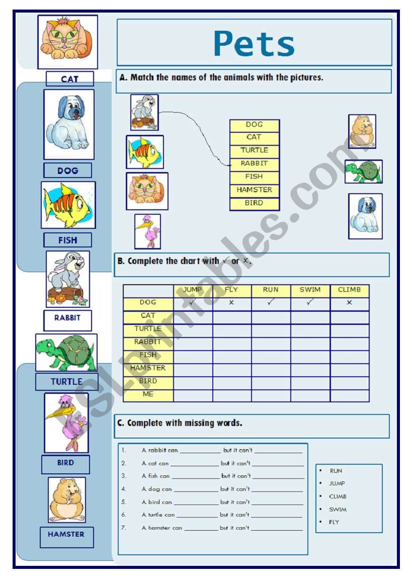 Pets (09.02.10) worksheet