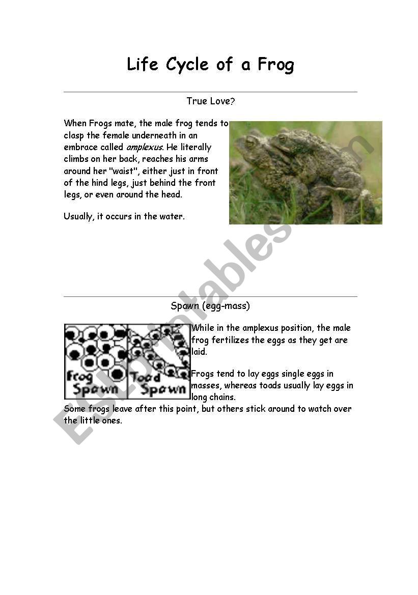 Life Cycle of a Frog worksheet