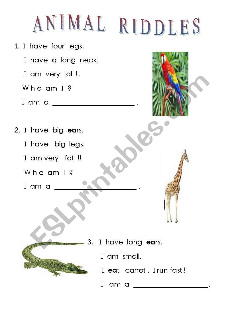 Animal Riddles  worksheet