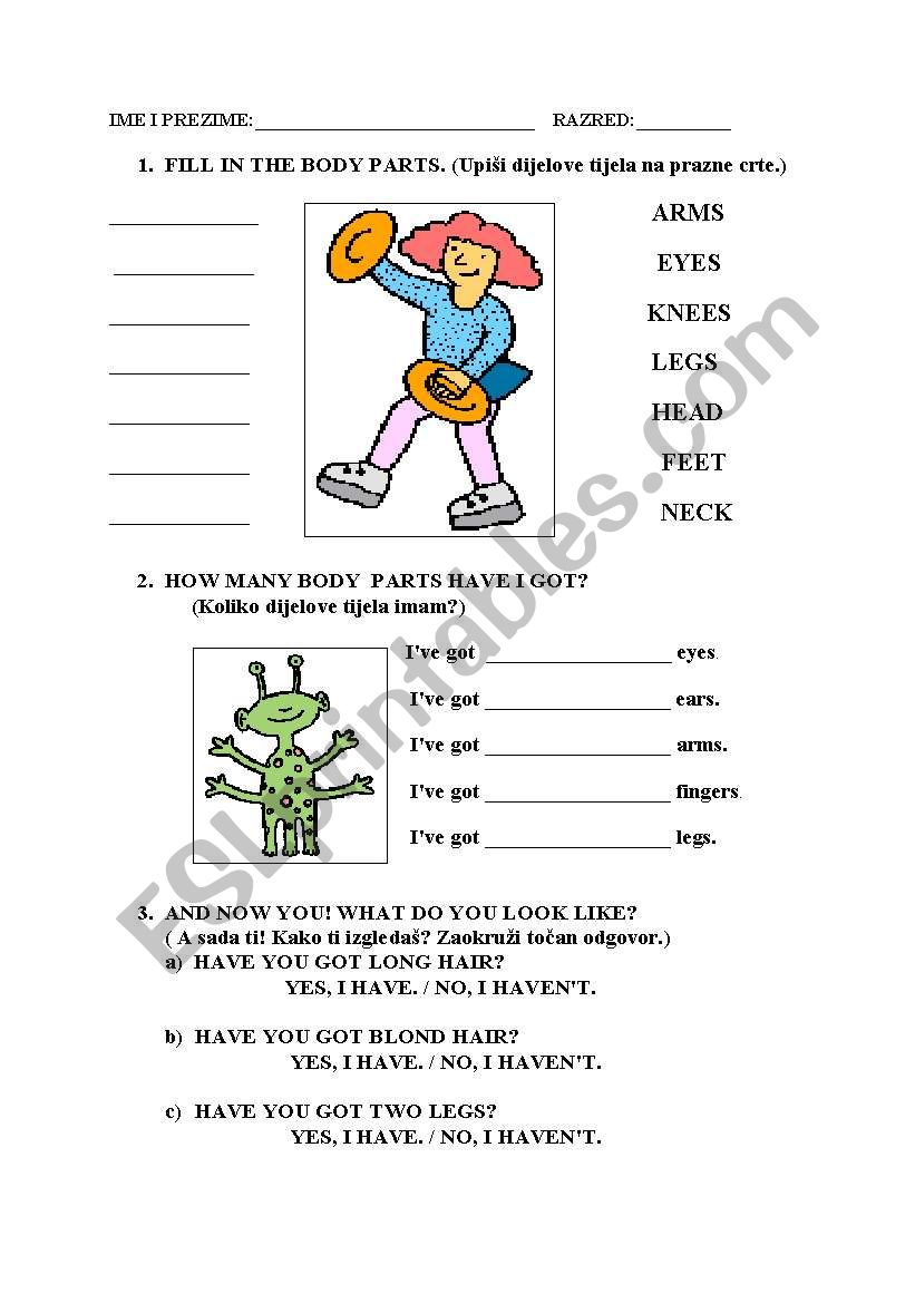 BODY PARTS worksheet