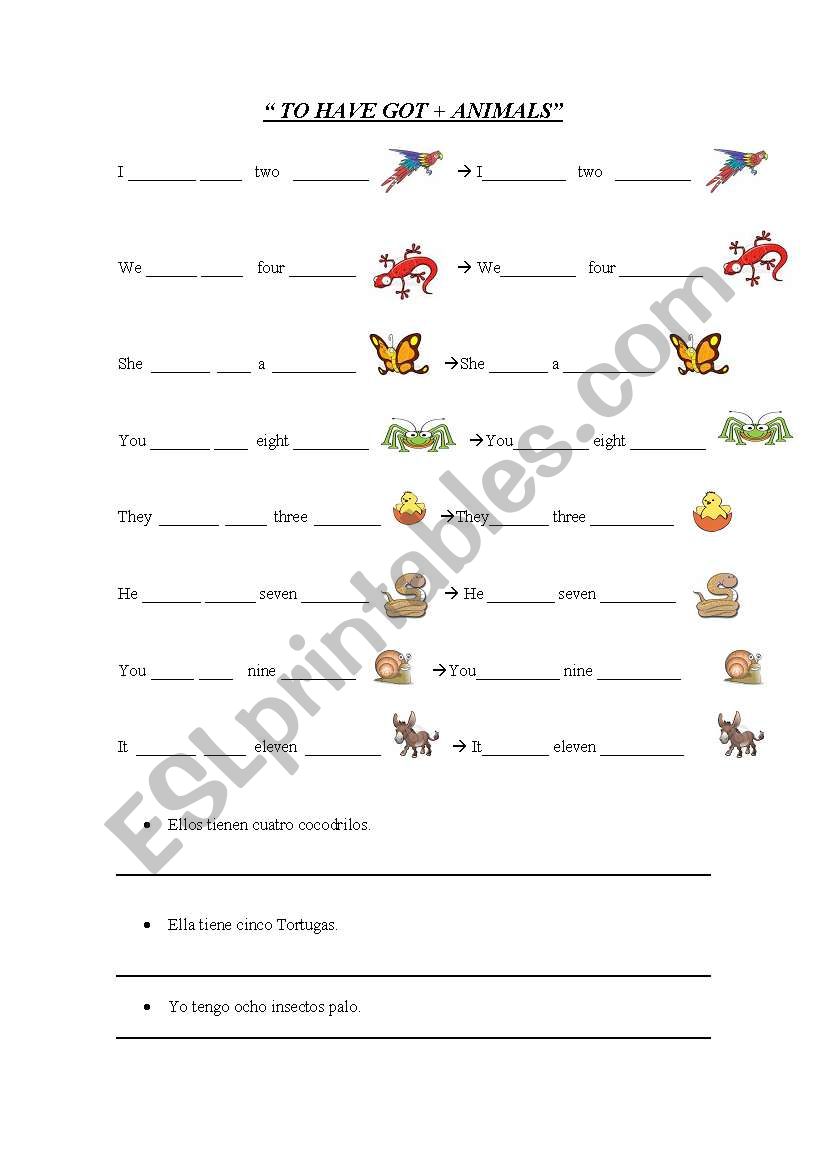 have go t+ animals worksheet